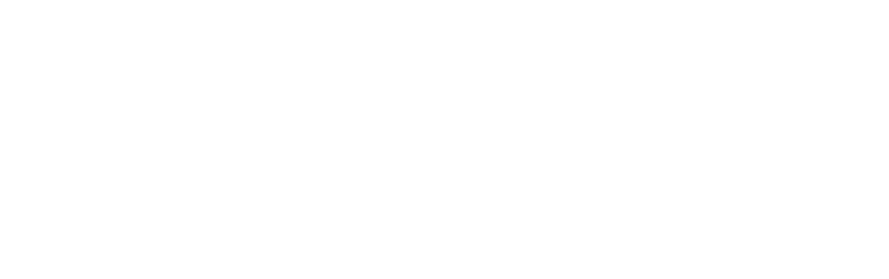 DDS Diagnostic