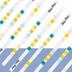 Test rapid Sumar de Urina H11 (11 parametri)- 100 teste/KIT